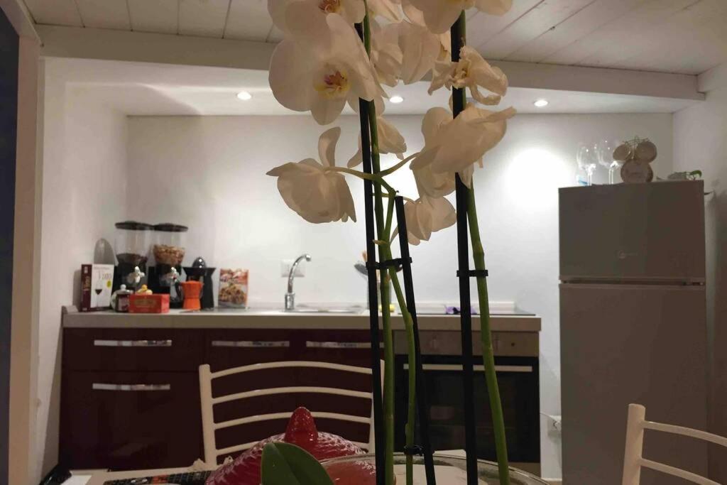 Small Mezzanine Apartment Colosseo 로마 외부 사진